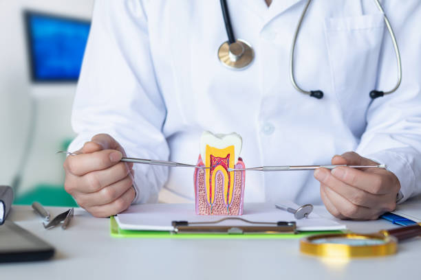 Best Emergency Denture Repair in Old Hill, CT